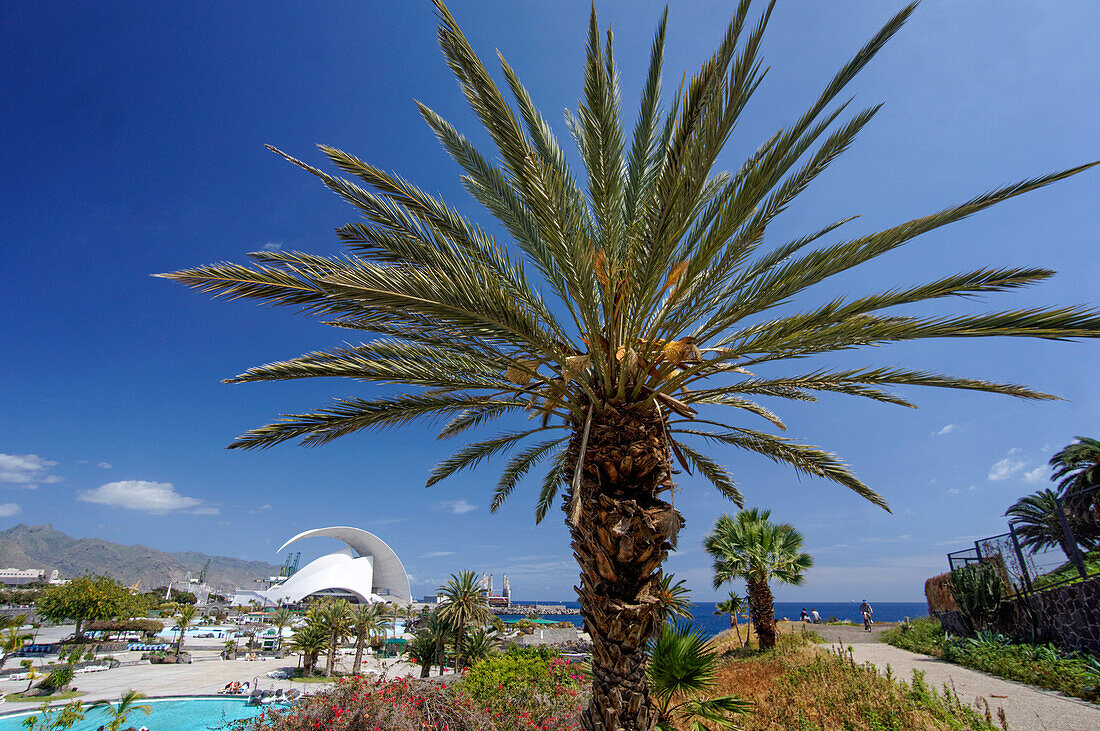 Auditorium, Santiago Calatrava, Santa Cruz, Teneriffa