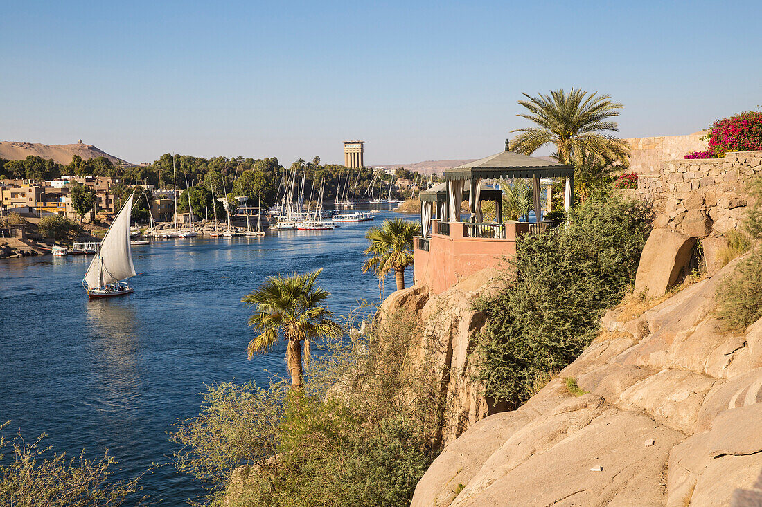 Gardens of Sofitel Legend Old Cataract hotel situated on the banks of the River Nile, Aswan, Upper Egypt, Egypt, North Africa, Africa