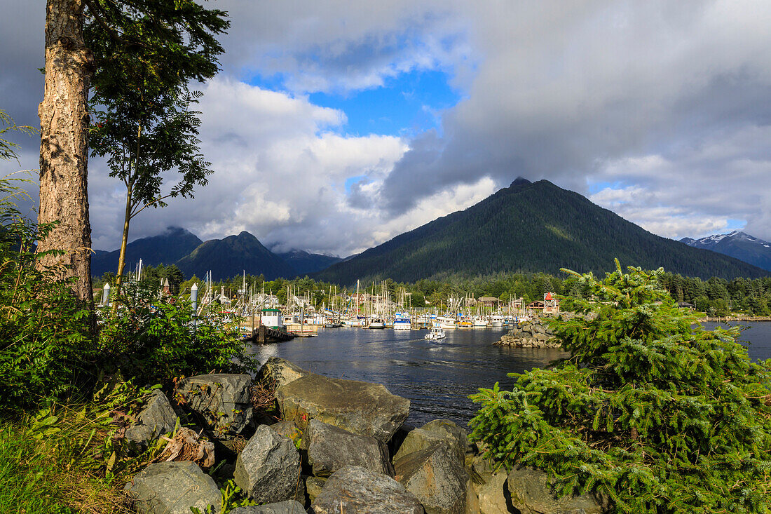 Crescent Boat harbour with beautiful wooded mountains and town of Sitka, rare sunny day, summer, Baranof Island, Alaska, United States of America, North America