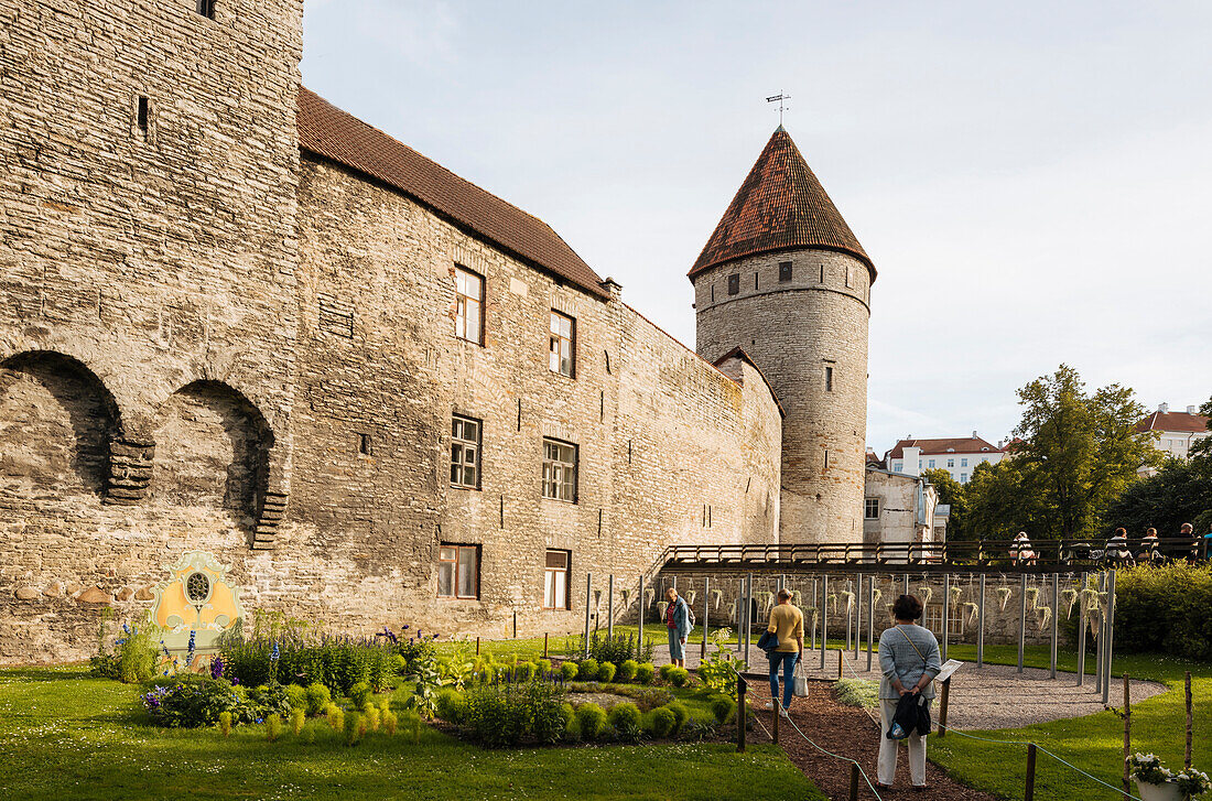 The Old City walls, Old Town, UNESCO World Heritage Site, Tallinn, Estonia, Europe