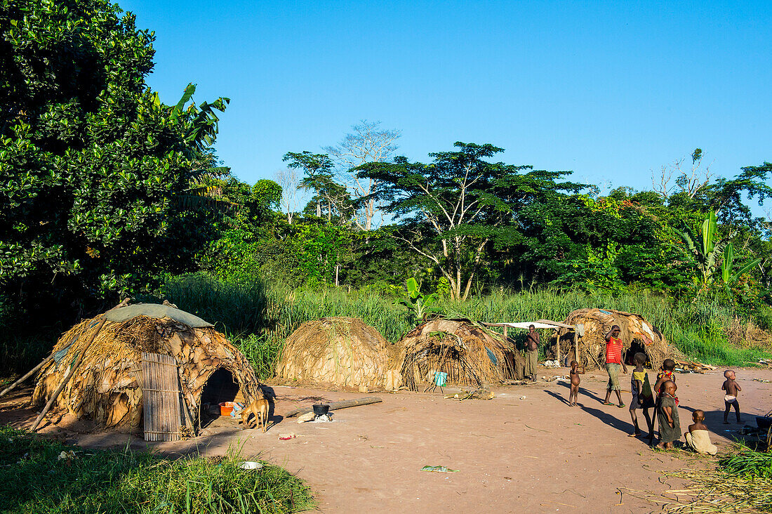 Traditional Baka pygmy village in the Dzanga-Sangha Special Reserve, UNESCO World Heritage Site, Central African Republic, Africa