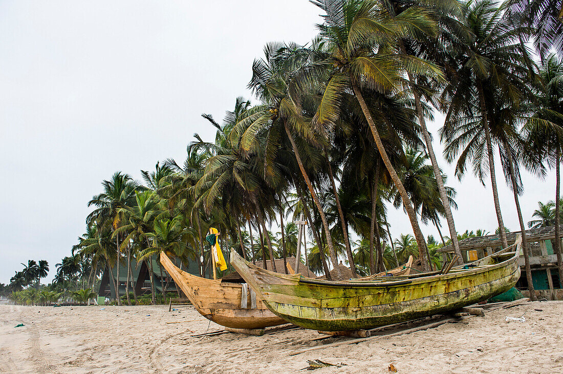 Fishing boats on a palm fringed beach in Assinie, Ivory Coast, West Africa, Africa