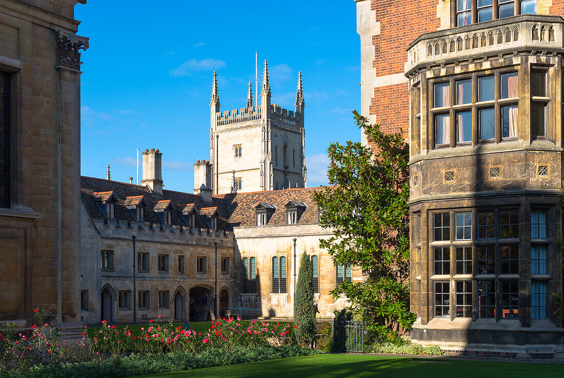 Pembroke College with the Pitt Building to the rear, Cambridge University, Cambridge, Cambridgeshire, England, United Kingdom, Europe