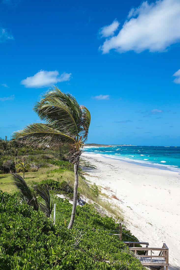 Beach near Nippers Bar, Great Guana Cay, Abaco Islands, Bahamas, West Indies, Central America