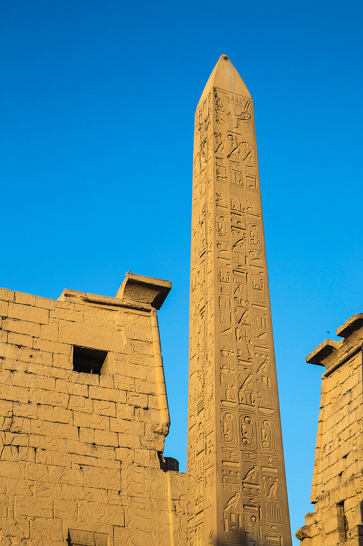 Oblelisk at temple entrance, Luxor Temple, UNESCO World Heritage Site, Luxor, Egypt, North Africa, Africa