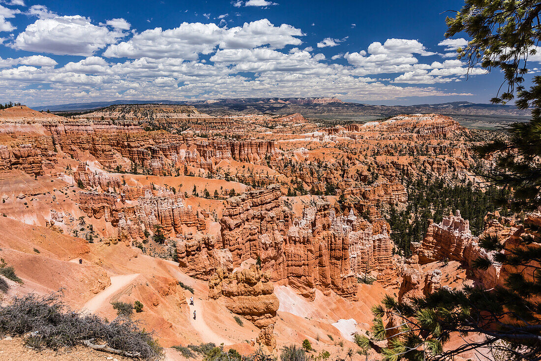 Hikers amongst hoodoo formations on the Sunrise Point Trail in Bryce Canyon National Park, Utah, United States of America, North America