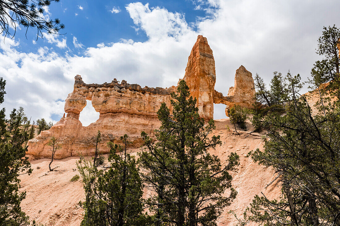 View of Two Towers Bridge from the Fairyland Trail in Bryce Canyon National Park, Utah, United States of America, North America