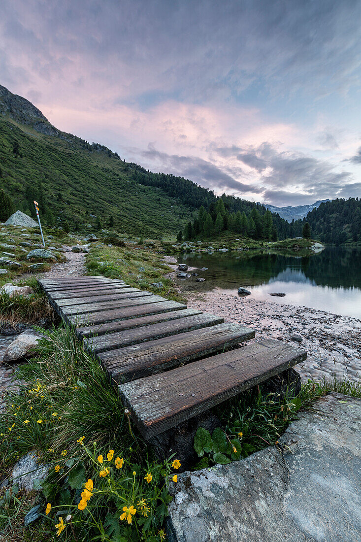 Wood walkway on the shore of Lake Cavloc, Maloja Pass, Bregaglia Valley, Engadine, Canton of Graubunden, Switzerland, Europe