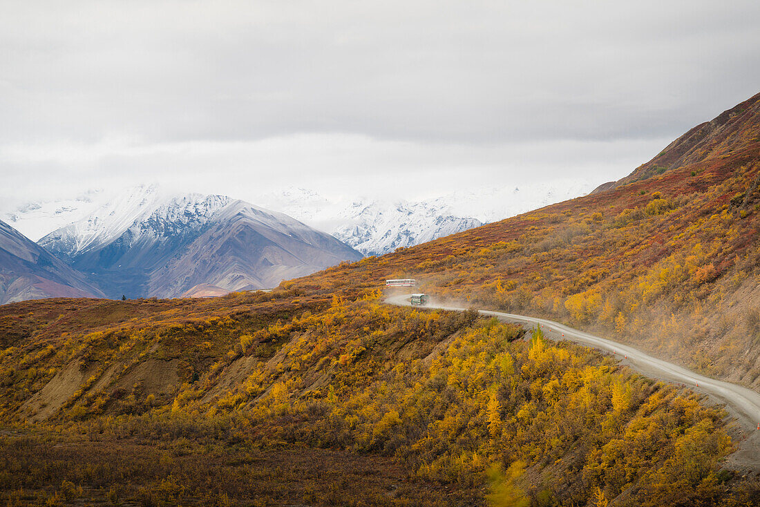 Camper buses driving into the heart of Denali National Park, Alaska, United States of America, North America