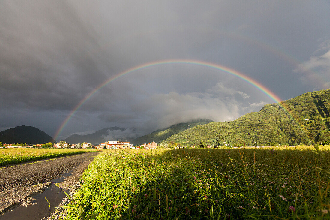 Rainbow over green fields of countryside, Cosio Valtellino, Sondrio province, Valtellina, Lombardy, Italy, Europe