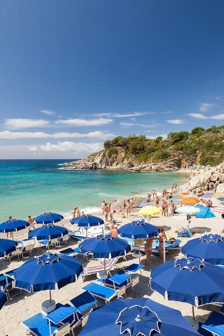 Sunbeds and beach umbrellas, Cavoli Beach, Marciana, Elba Island, Livorno Province, Tuscany, Italy, Europe