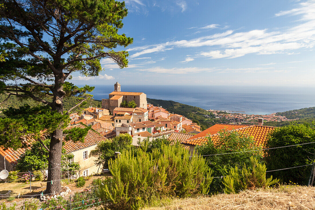 Village of Poggio on the hills of Monte Capanne, Marciana, Elba Island, Livorno Province, Tuscany, Italy, Europe