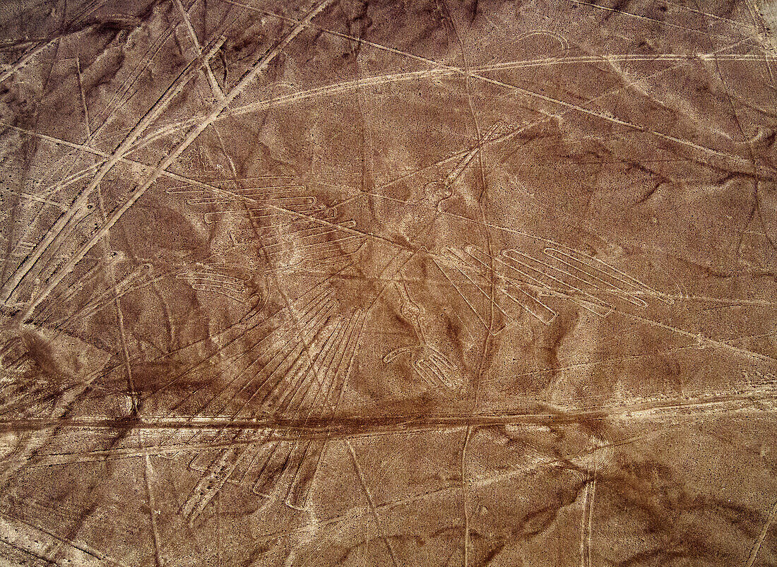 The Condor Geoglyph, aerial view, Nazca, UNESCO World Heritage Site, Ica Region, Peru, South America