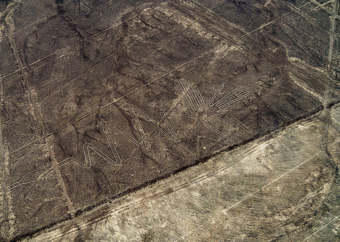The Heron Geoglyph, aerial view, Nazca, UNESCO World Heritage Site, Ica Region, Peru, South America