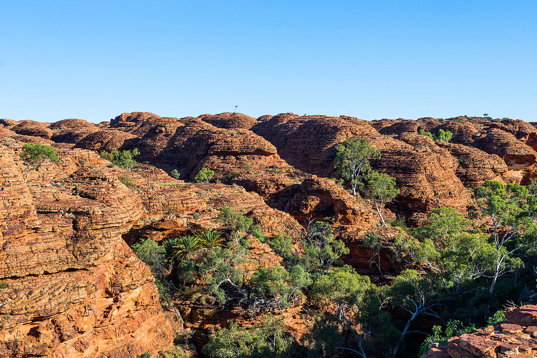 Kings Canyon, Red Centre, Northern Territory, Australia, Pacific