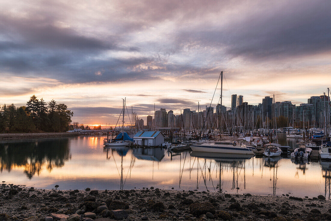 Vancouver city in the morning, viewed from the Stanley Park, Vancouver, British Columbia, Canada, North America