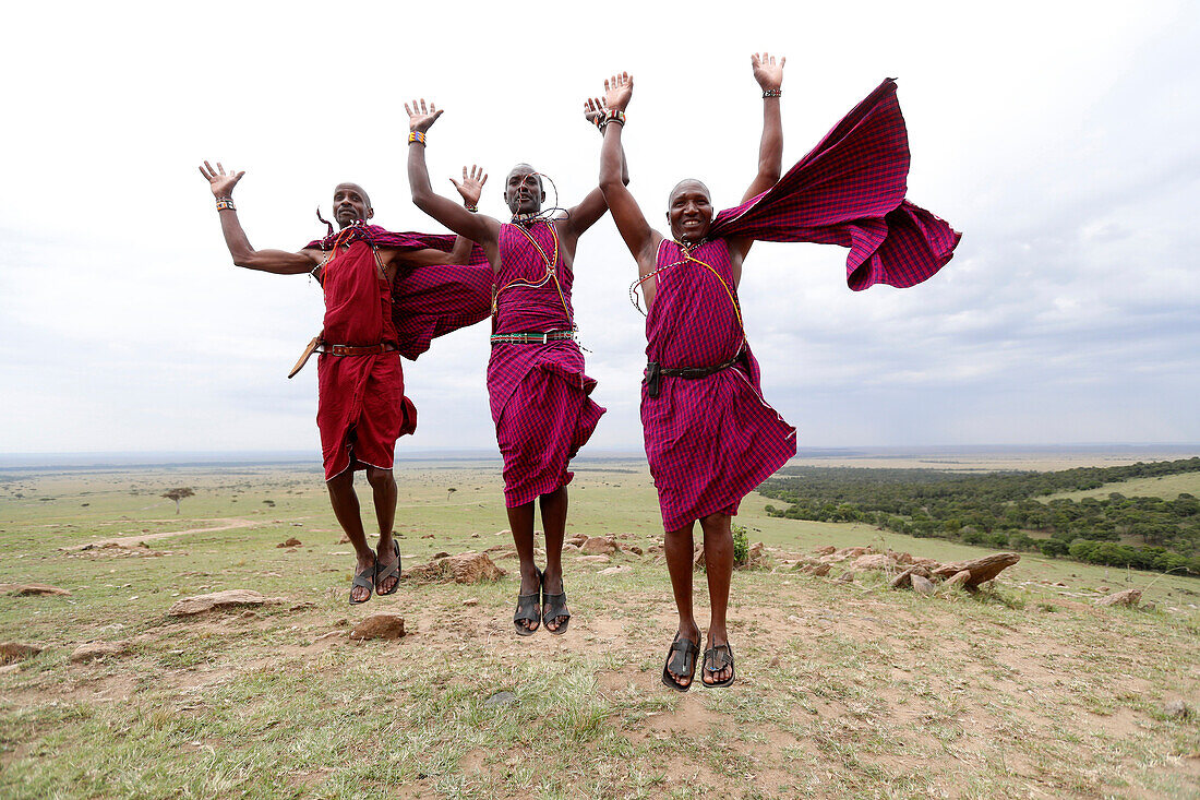 Masai warriors doing the traditional jump dance, Masai Mara Game Reserve, Kenya, East Africa, Africa