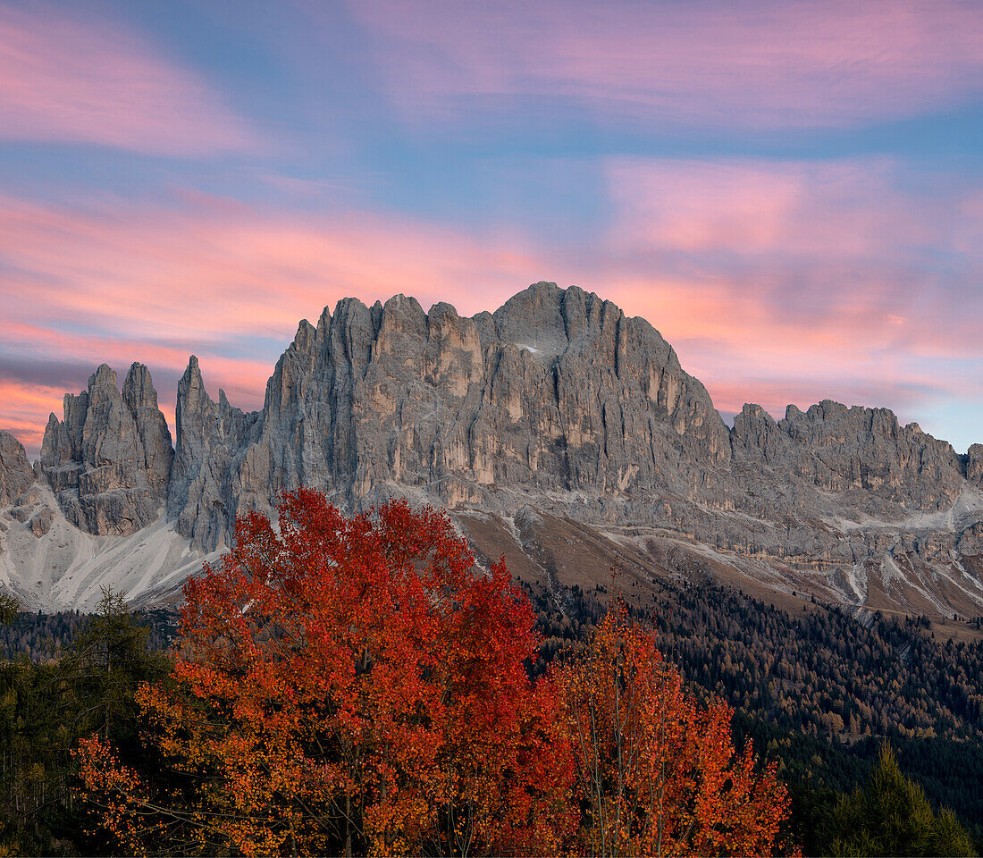 Sunrise on Catinaccio Rosengarten and Torri Del Vajolet in autumn, Tires Valley, Dolomites, South Tyrol, Bolzano province, Italy, Europe