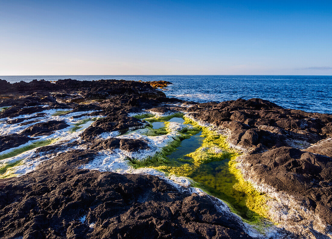 Coast near Mosteiros, Sao Miguel Island, Azores, Portugal, Atlantic, Europe