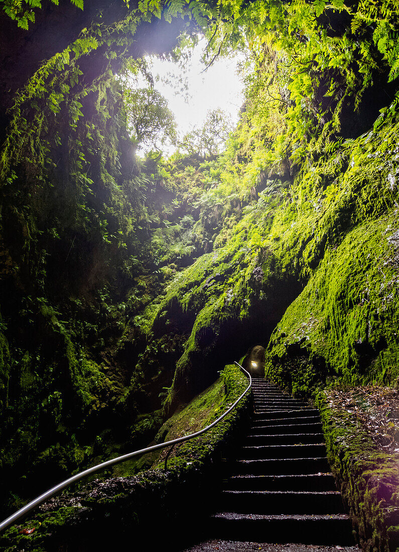 Gruta do Algar do Carvao, cave, Terceira Island, Azores, Portugal, Atlantic, Europe