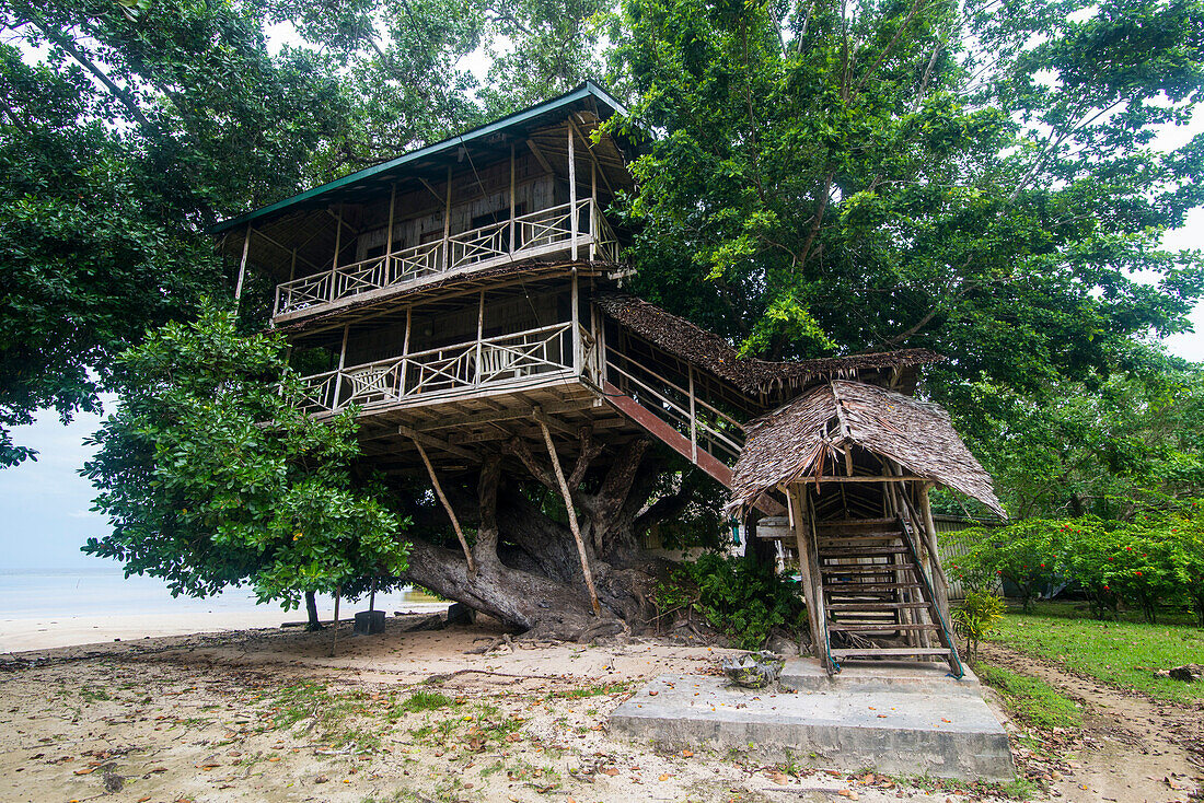 Giant tree house along the Boluminsky highway, Kavieng, New Ireland, Papua New Guinea, Pacific