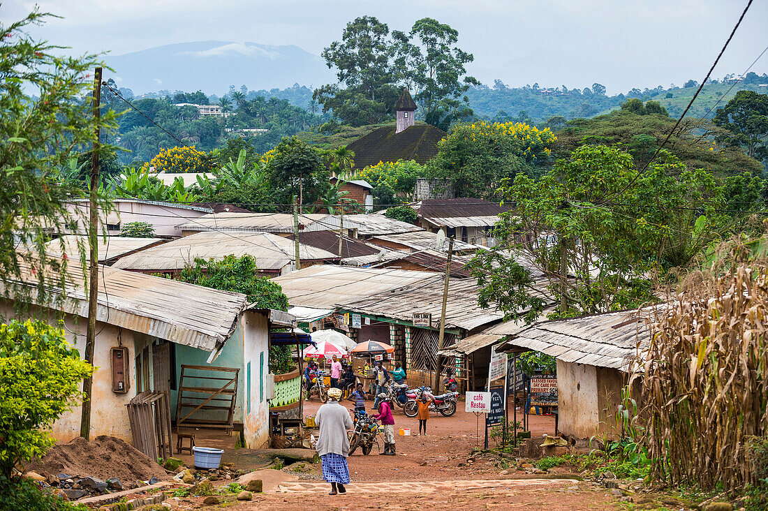 View over the village of Bafut, Cameroon, Africa