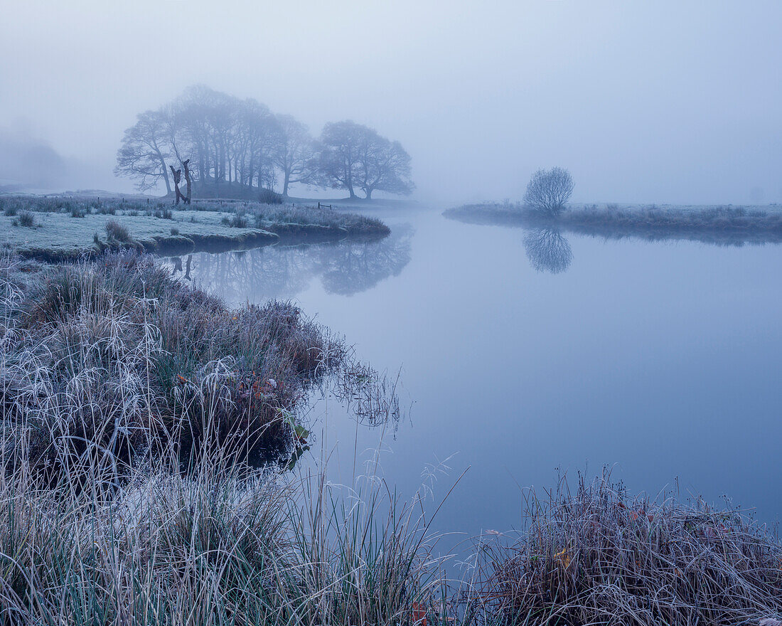 Reeds and trees on the banks of Elterwater coated in frost on a foggy autumn morning in the Lake District National Park, UNESCO World Heritage Site, Cumbria, England, United Kingdom, Europe