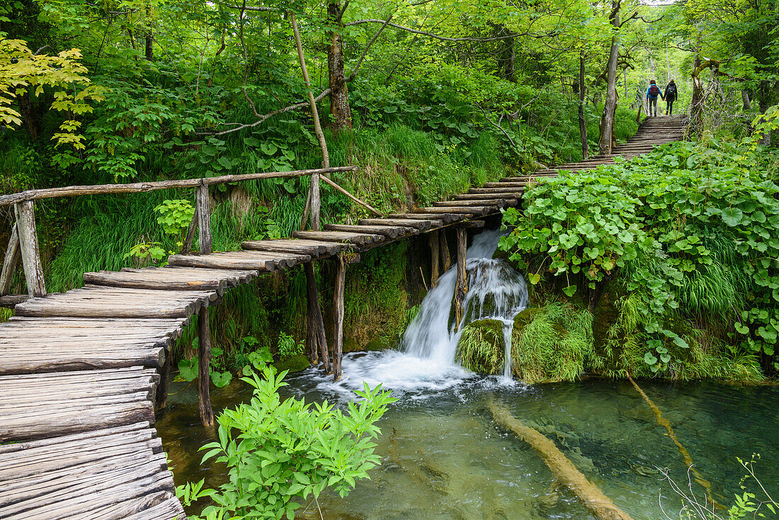 Boardwalk, Plitvice Lakes National Park, UNESCO World Heritage Site, Croatia, Europe