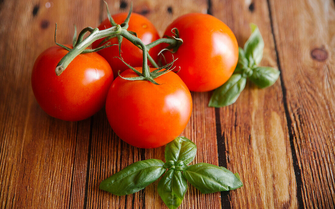 Tomatoes on vine with basil leaf