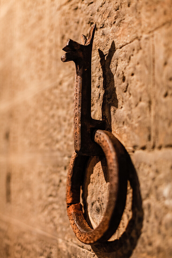 Old Iron Horse Tie Ring in the wall, Florence, Italy, Toscany, Europe
