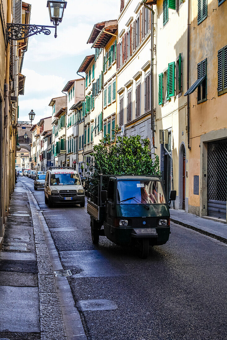 Piaggio Apecar transportiert Pflanzen Florenz, Toskana, Italien, Europa