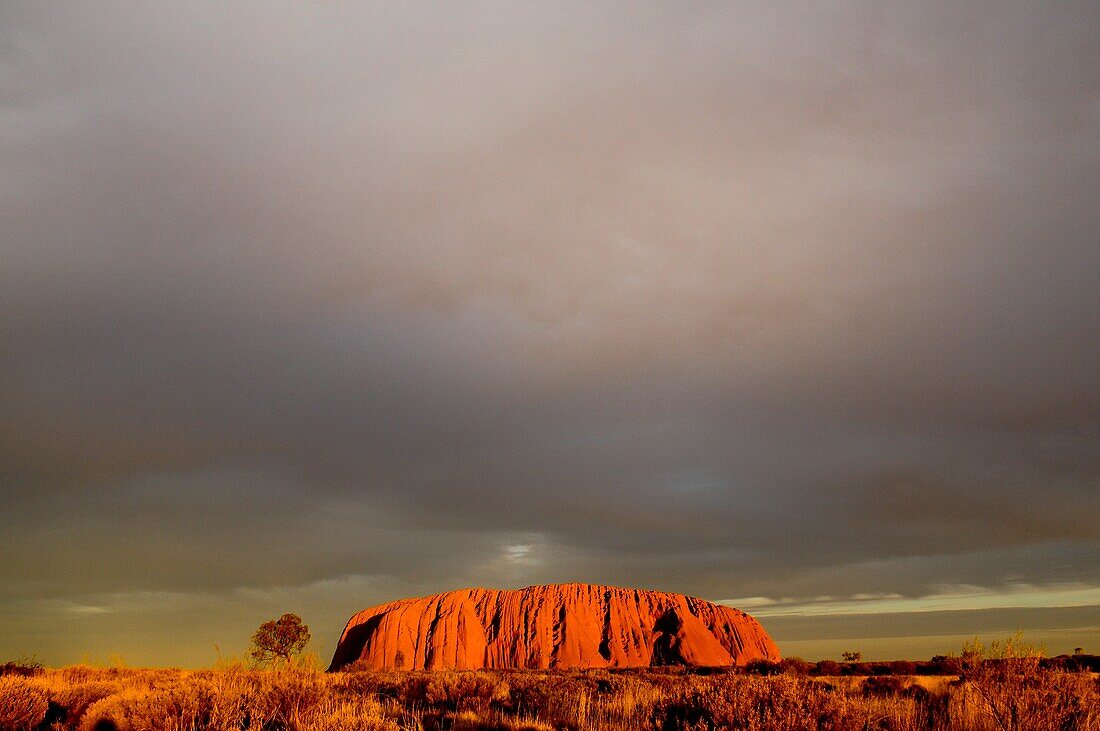 Rock formations on landscape, Uluru, Uluru-Kata Tjuta National Park, Northern Territory, Australia, Oceania