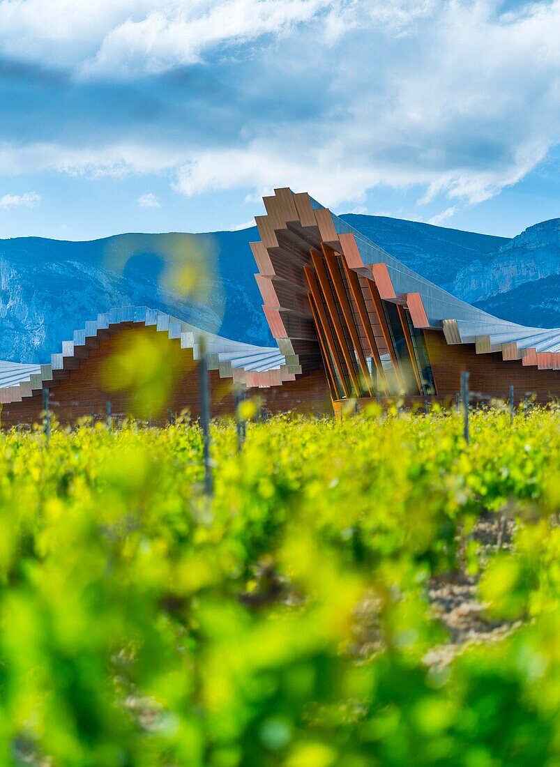 YSIOS WINERY, This pixilated-looking landmark was designed by architect Santiago Calatrava and opened its doors in 2001. This extremely long building can be seen from kilometers away. Gigantic bars of aluminum form the wavy roof, which mirrors the mountai