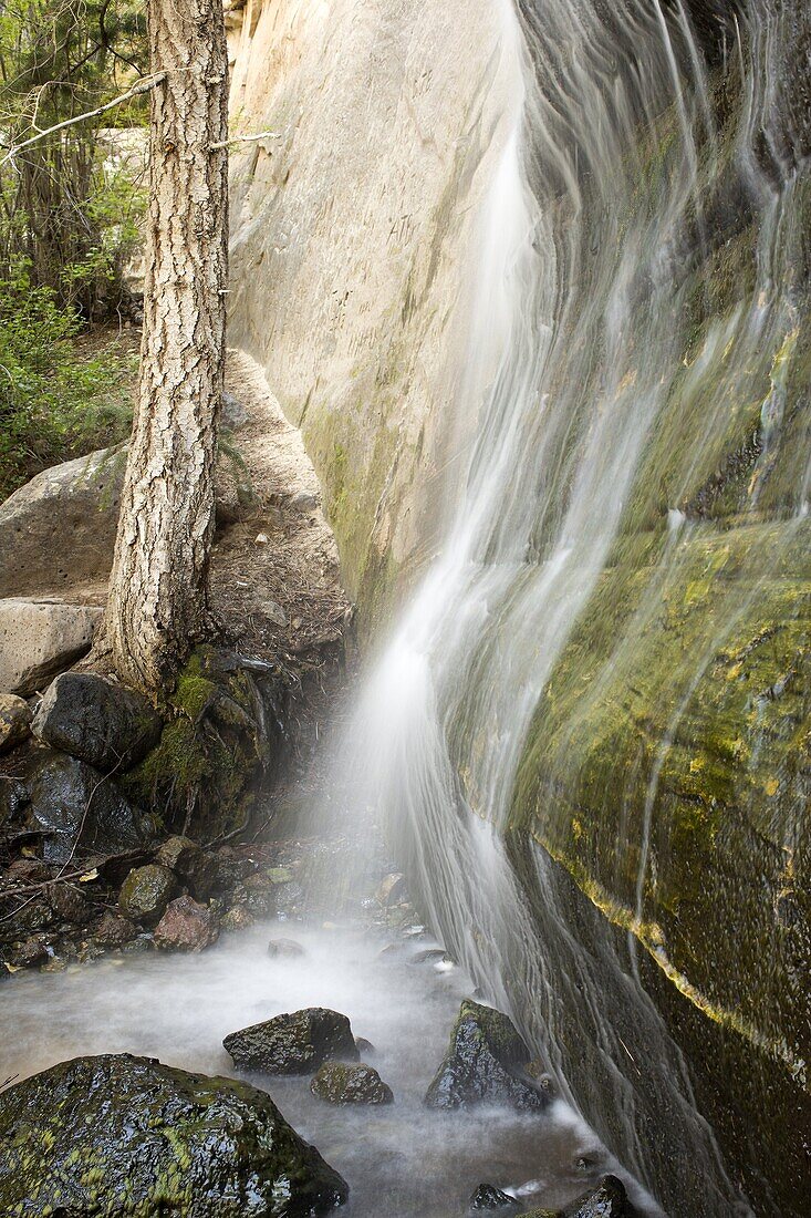 A small waterfall nestled near the crest of Boulder Mountain in Utah.