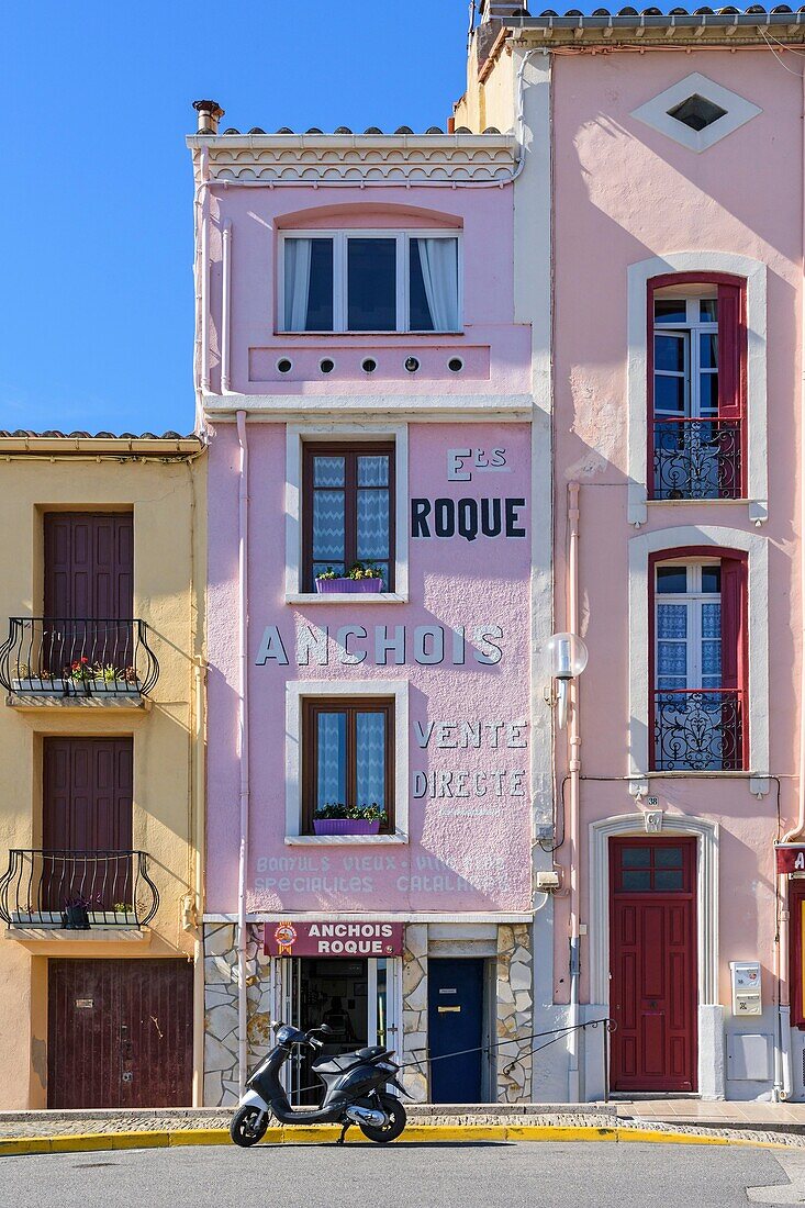 Tiny Anchois Roque shop selling the famous Collioure Roque anchovy, Collioure, Côte Vermeille, Céret, Pyrénées-Orientales, Occitanie, France.