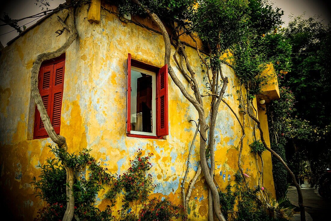 Plaka-Viertel in Athen, Griechenland, Europa.