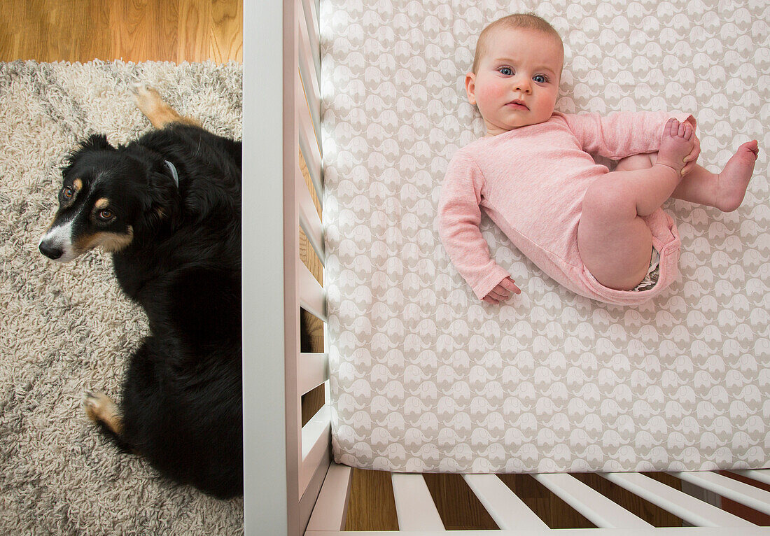 High Angle View of Baby Laying in Crib with Dog Laying Nearby on Floor