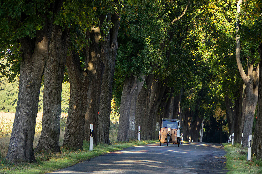 Allee bei Ruednitz, DDR Dreirad, Brandenburg , Deutschalnd