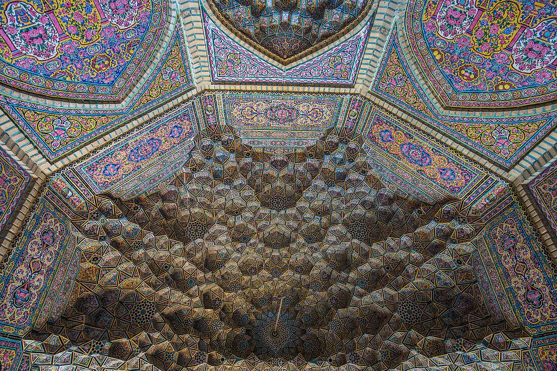 Rosenmosche von Shiraz, Iran, Asien