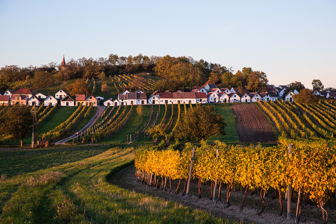 Wine cellars at Galgenberg of Wildendürnbach, Lower Austria, Europe