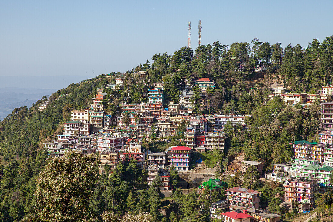 Ausblick auf McLeod Ganj, Himachal Pradesh, Indien, Asien