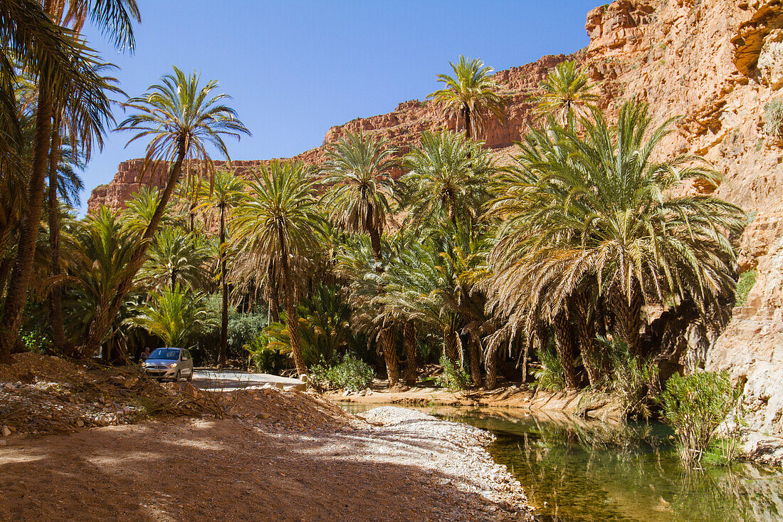 Oasis next to Tafraoute, Morocco, Africa