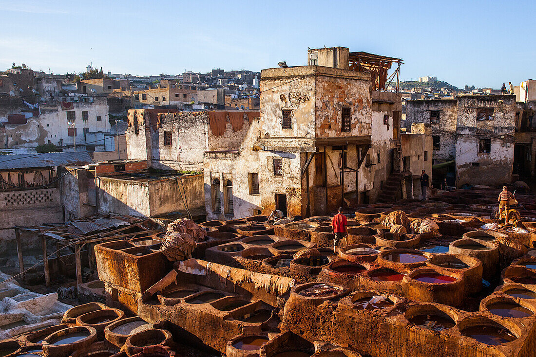 Leather tanning in Chouara Tannery in Fes, Morocco, Africa