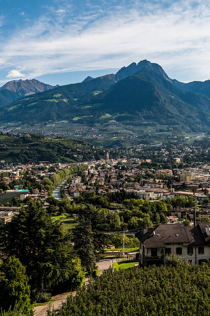 view to Meran and the Sarntaler mountains,South Tyrol, Italy