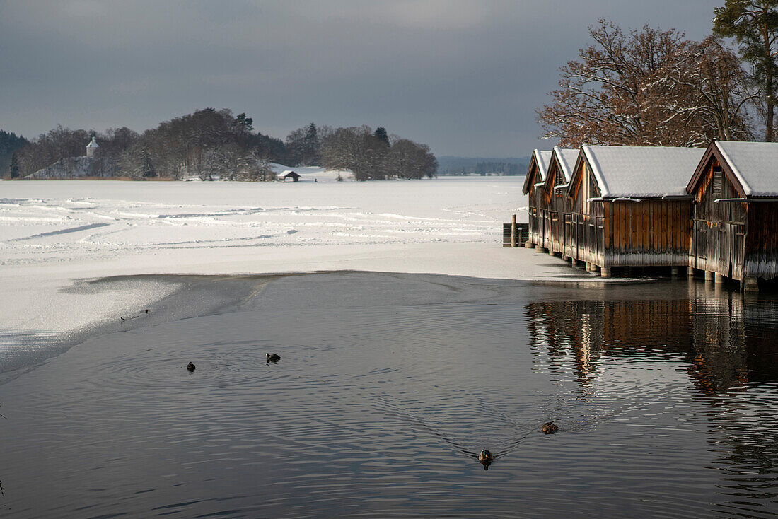 Winter at partially frozen Staffelsee with view to the boathouses and the island Wörth with Simpertkapelle (St. Bonifatius), Seehausen, Upper Bavaria, Germany