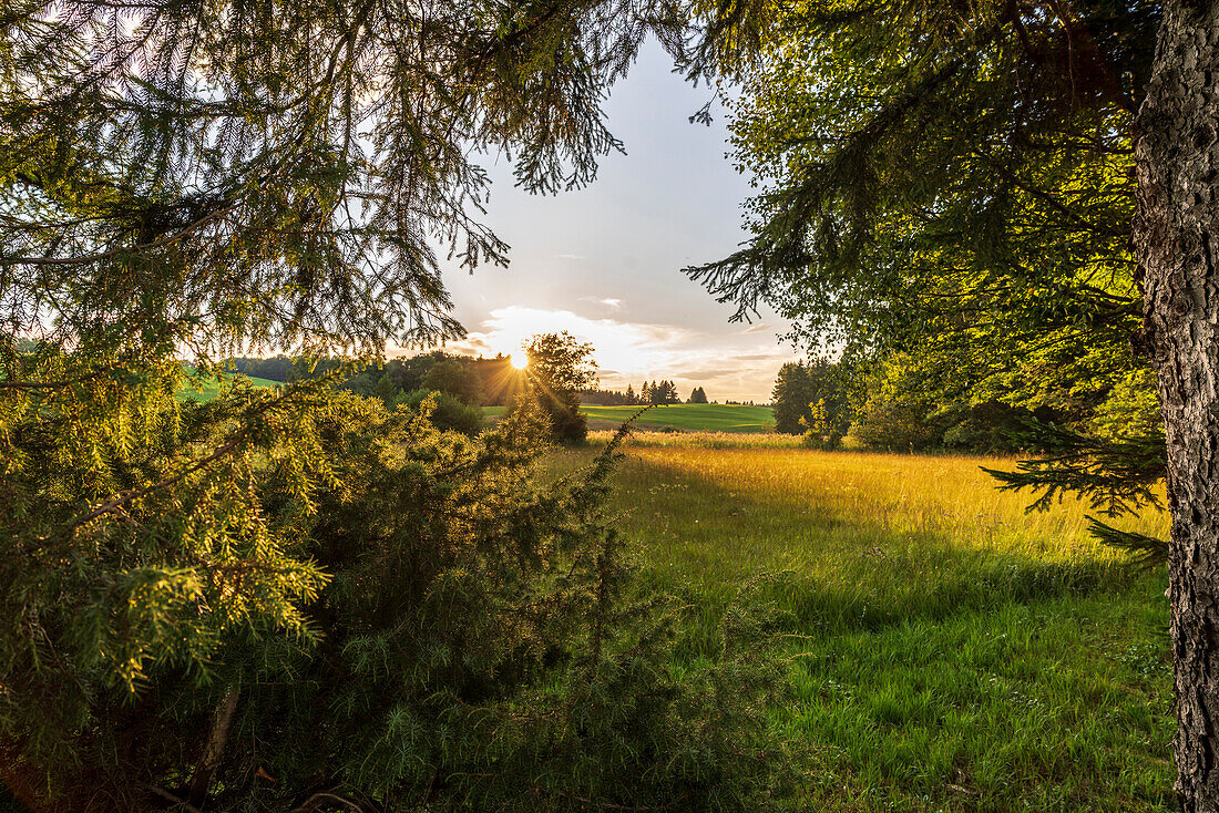 Summer evening with sunset in bavarian countryside, Bad Kohlgrub, Upper Bavaria, Germany