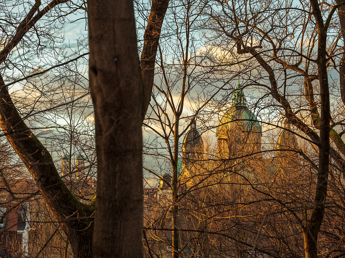 Blick vom Isarhochufer durch die Bäume Richtung Innenstadt auf St.Lukas und die Frauenkirche, München, Oberbayern, Deutschland