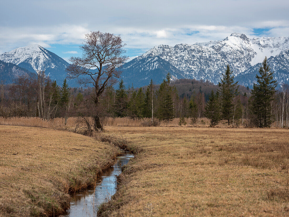 Ein Bach durch das Murnauer Moos, im Hintergrund die Bayerischen Voralpen mit Herzogstand und Heimgarten, Grafenaschau, Oberbayern, Deutschland