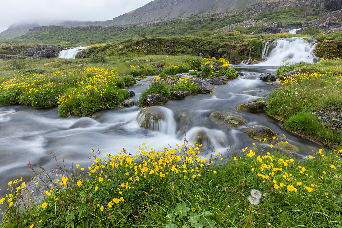 Dynjandi, Fjallfoss, a series of waterfalls located in the Westfjords (Vestfirdir), Iceland, Polar Regions