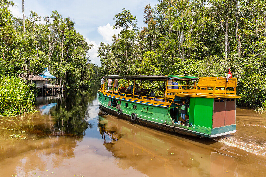 Klotok with tourists on the Sekonyer River, Tanjung Puting National Park, Kalimantan, Borneo, Indonesia, Southeast Asia, Asia